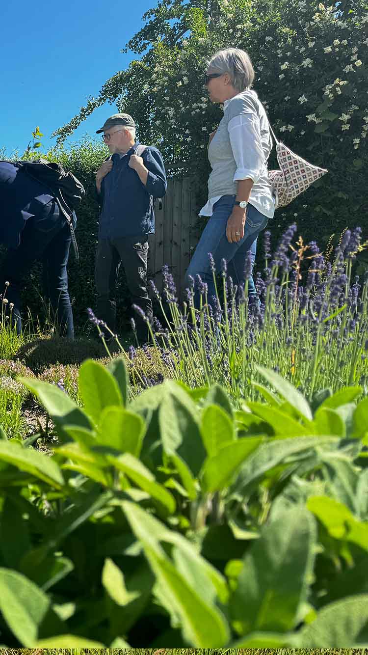 Naturpris Vinder 2024 Røde Vejrmølle Park Bed Mobil