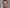 Dennis Rønberg Profil