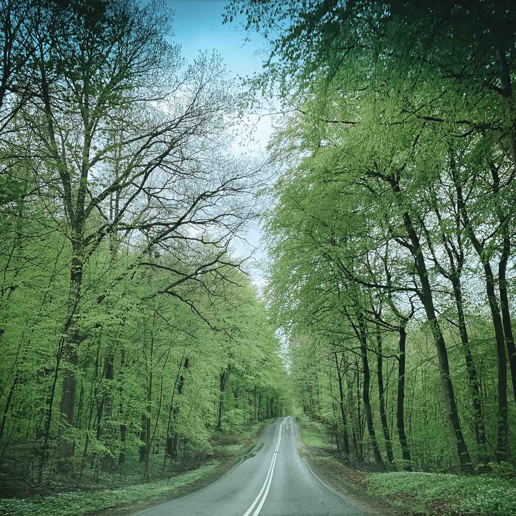 Klimavenligt Bolignetværk