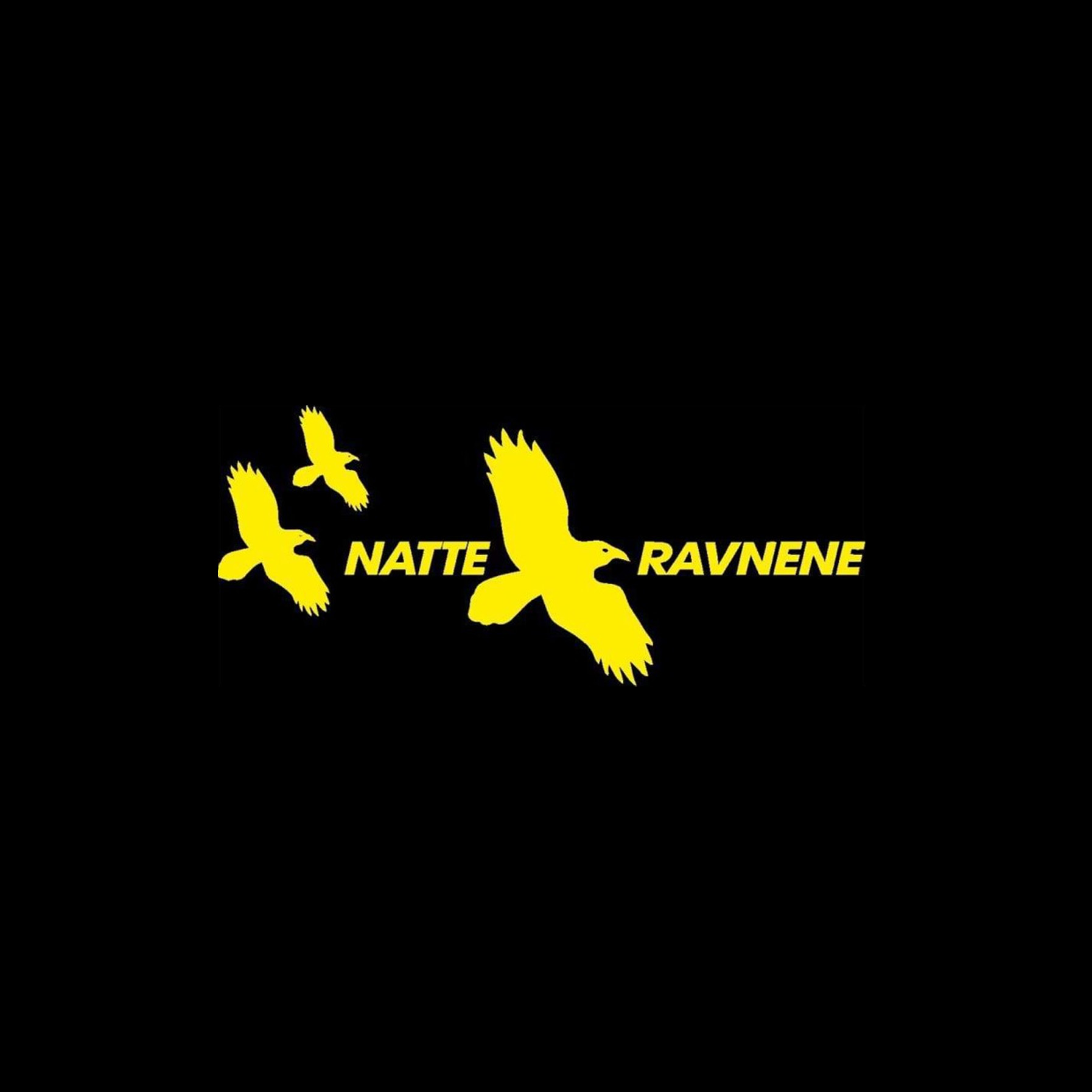 Natteravnene Logo Dktv