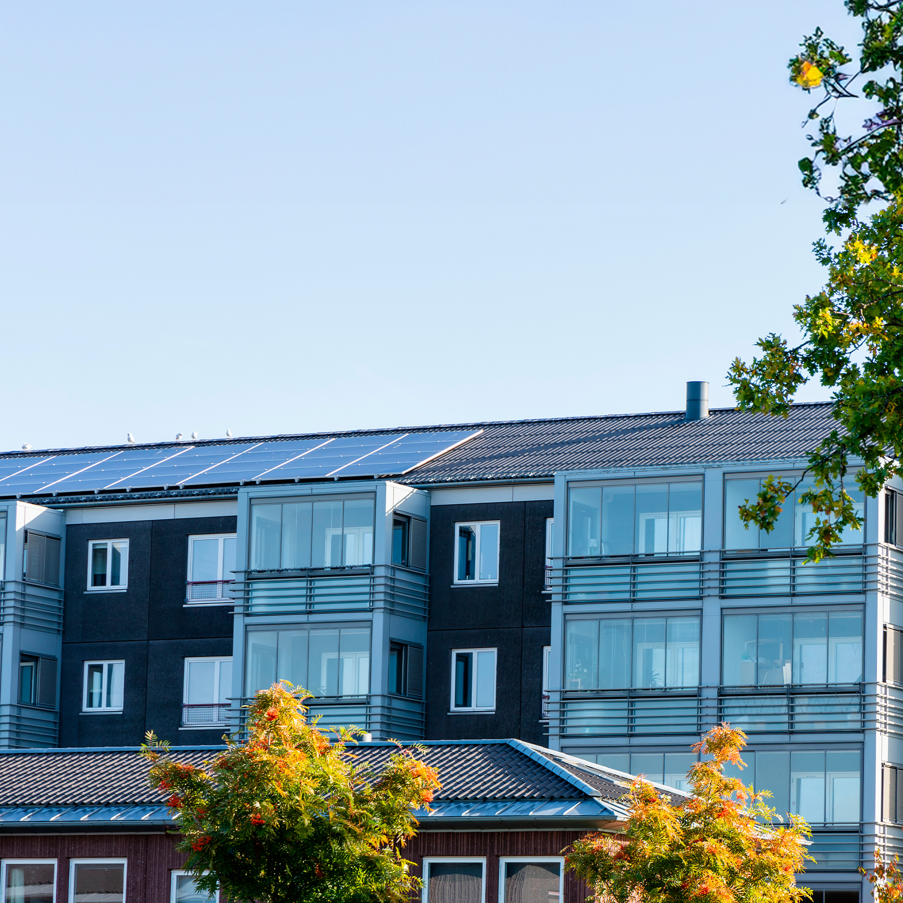 Overvejelser Af Solceller For Boligforeninger