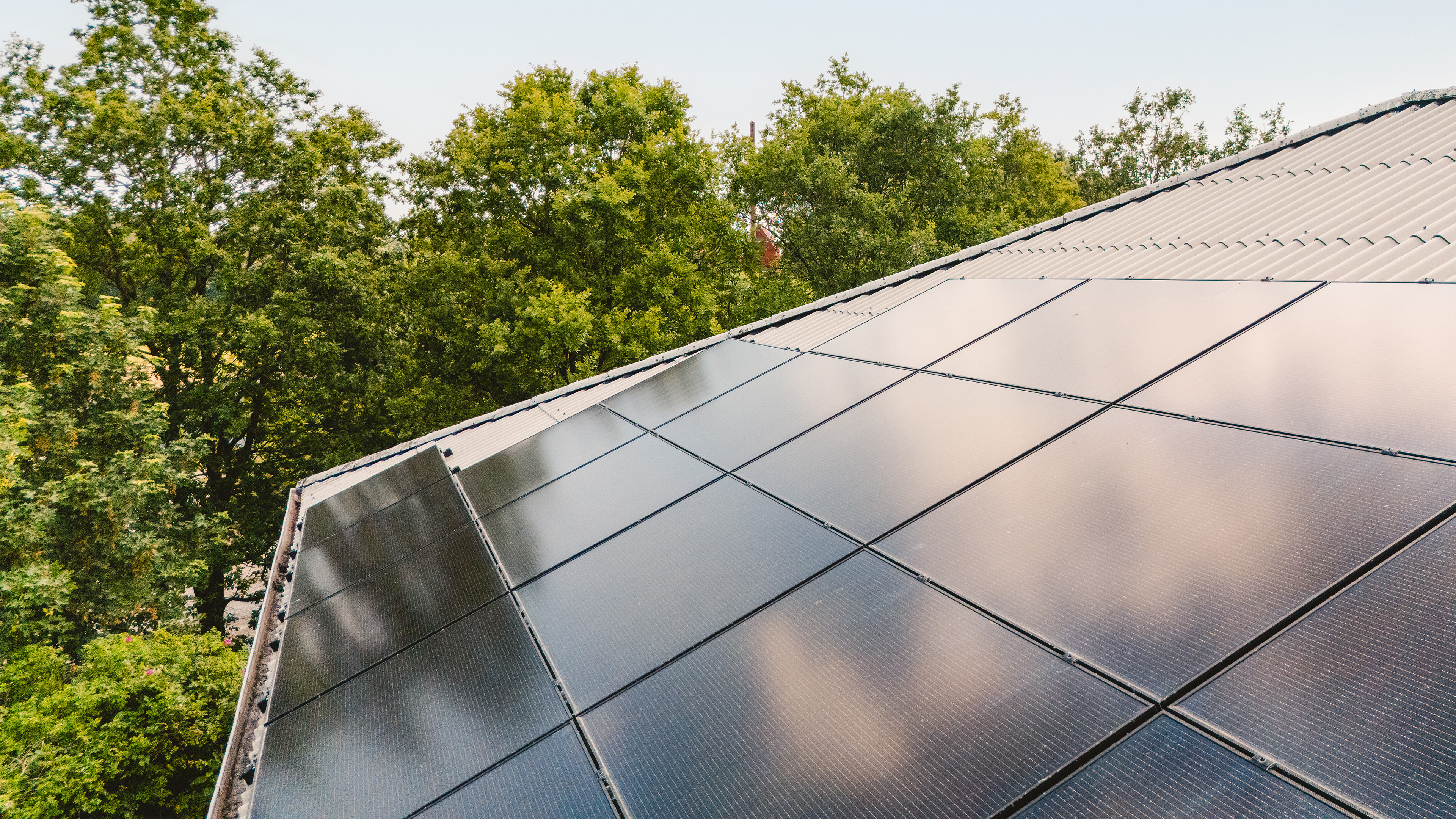 En Vej Mod Billigere, Grøn Energi