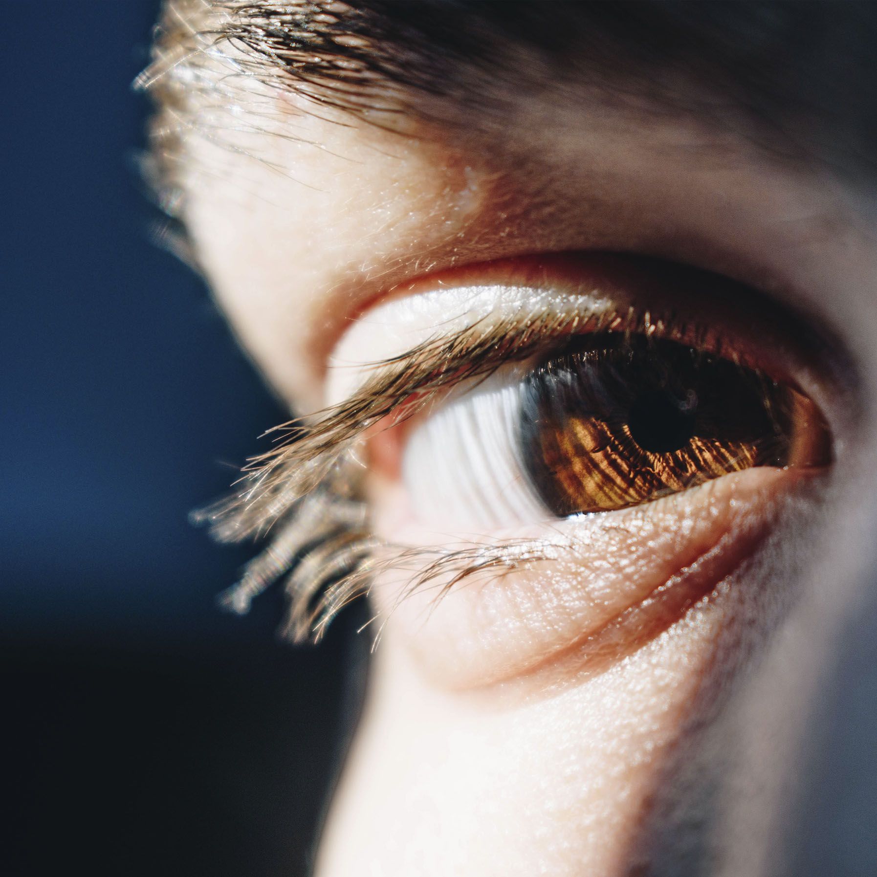 Overvågning Med Feberscan Ansigtgenkendelse